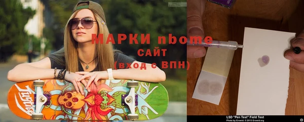 ГАЛЛЮЦИНОГЕННЫЕ ГРИБЫ Вязники