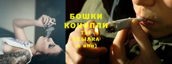 ГАЛЛЮЦИНОГЕННЫЕ ГРИБЫ Вязники